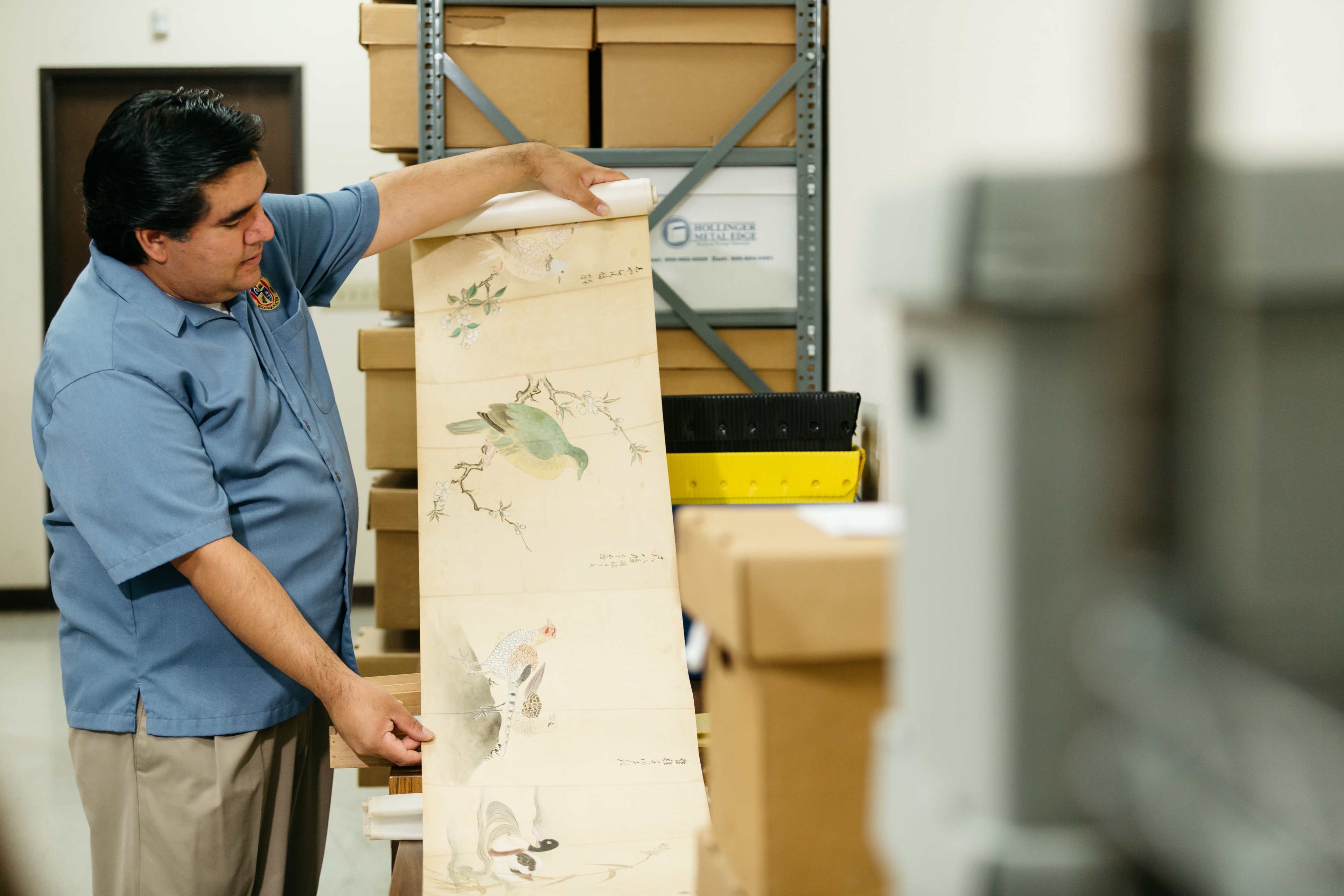 A man in an archival storage room carefully holding and examining a scroll featuring traditional artwork of birds and nature. In the background, shelves are stacked with archival boxes, indicating a preservation environment.