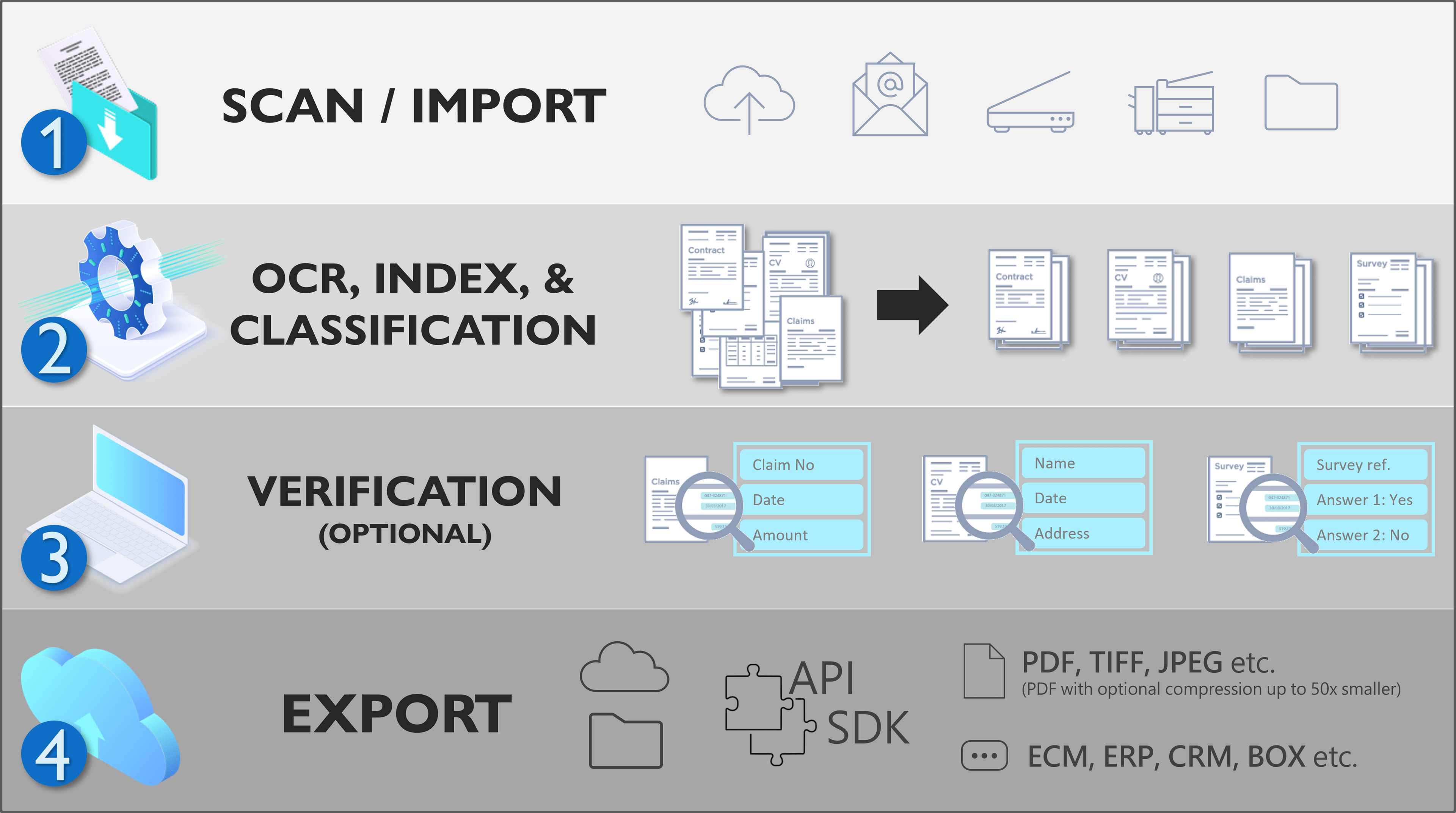 A four-step process diagram for document handling. Step 1: 'Scan/Import' shows options for importing documents via cloud, email, scanner, or other methods. Step 2: 'OCR, Index, & Classification' depicts the process of optical character recognition and document categorization. Step 3: 'Verification (Optional)' involves data verification such as claim numbers and addresses. Step 4: 'Export' illustrates exporting documents in formats like PDF, TIFF, or JPEG, with options for API and SDK integration into systems such as ECM, ERP, CRM, and BOX.