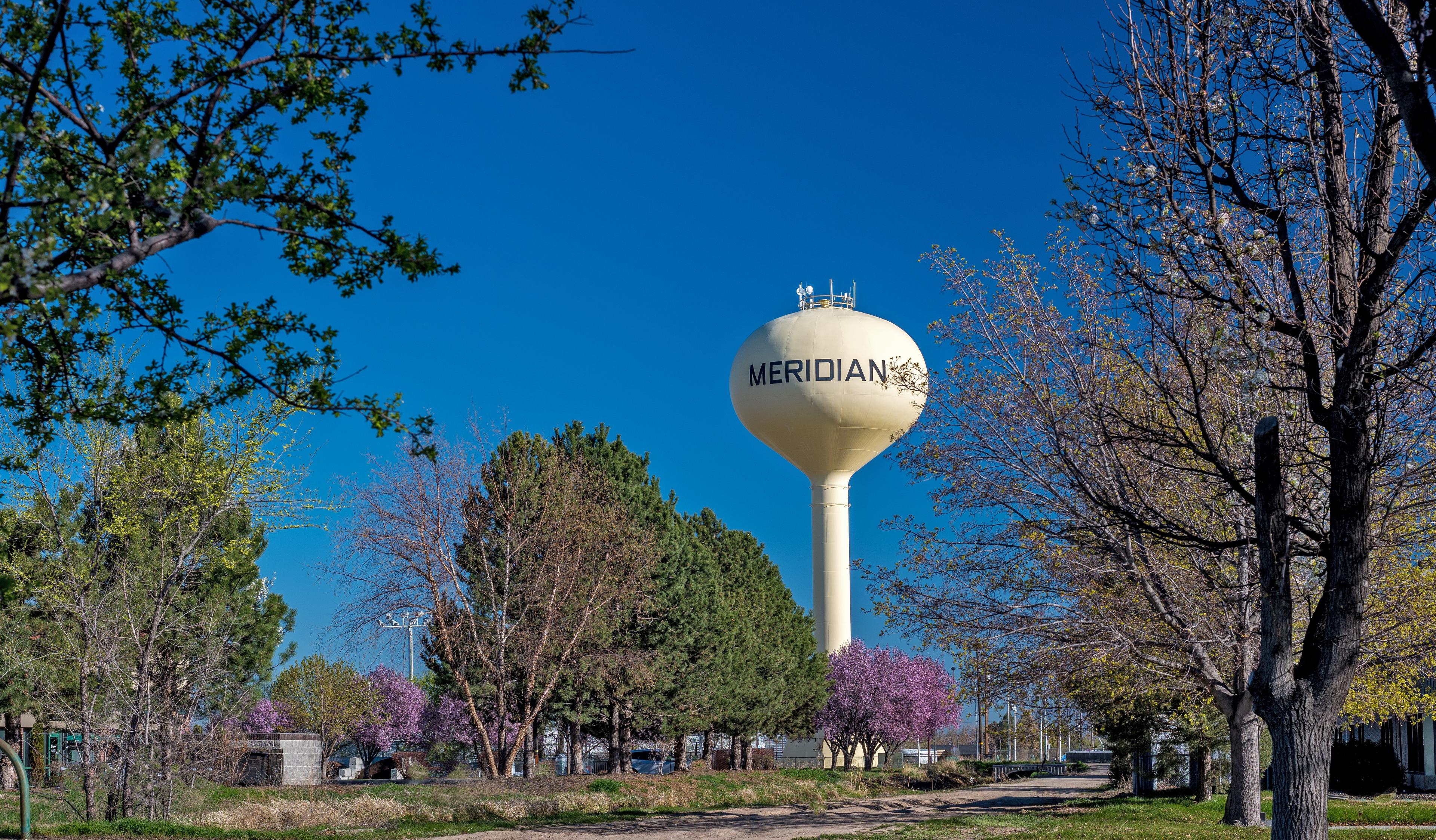 The Meridian water tower in Meridian, Idaho stands prominently in the background, surrounded by leafy trees and blooming purple flowers, with a clear, sunny sky overhead.