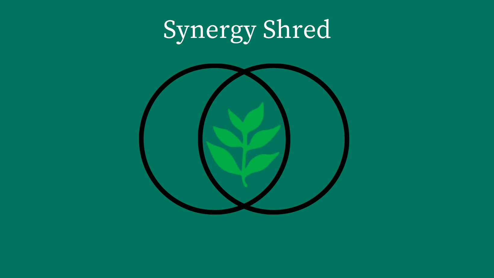 Synergy Shred logo